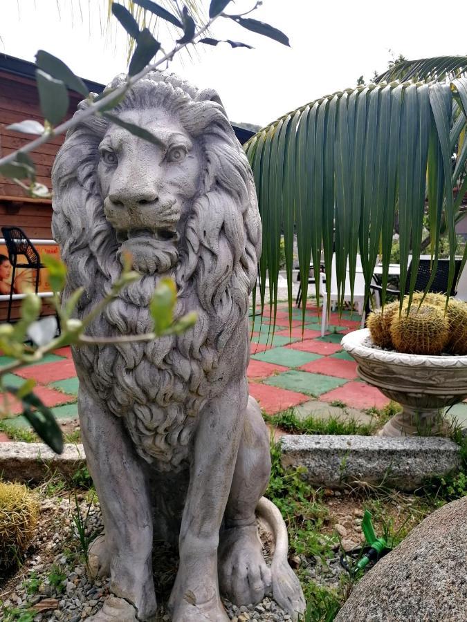 Afrodite Accomodation Tropea Zewnętrze zdjęcie